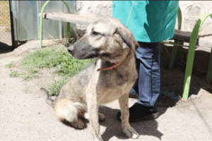 gallery_1_screenshot-2025-07-03-163650