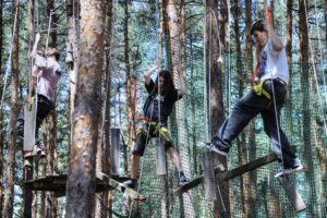 gallery_6_img_0081