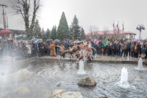 IMG_6593